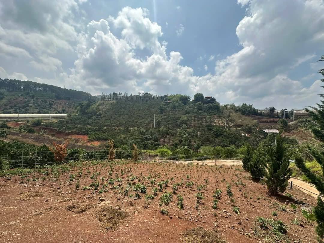 Giảm giá Bán gấp Đất view đẹp tại Tà Nung, Đà Lạt 2537m2 giá 4 tỷ - Ảnh 1